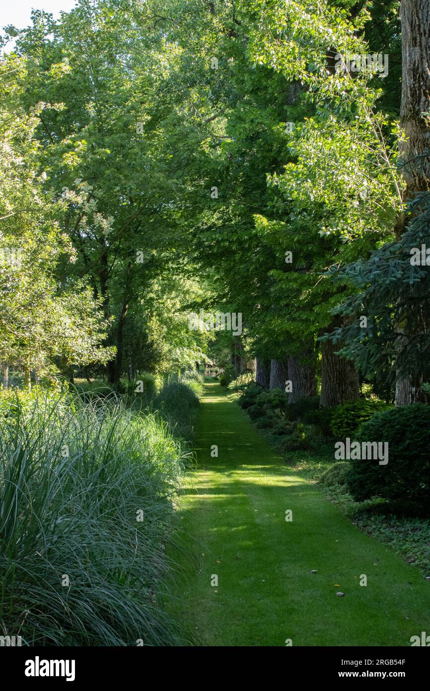 Jardins de Maizicourt, tree lined walk Stock Photo