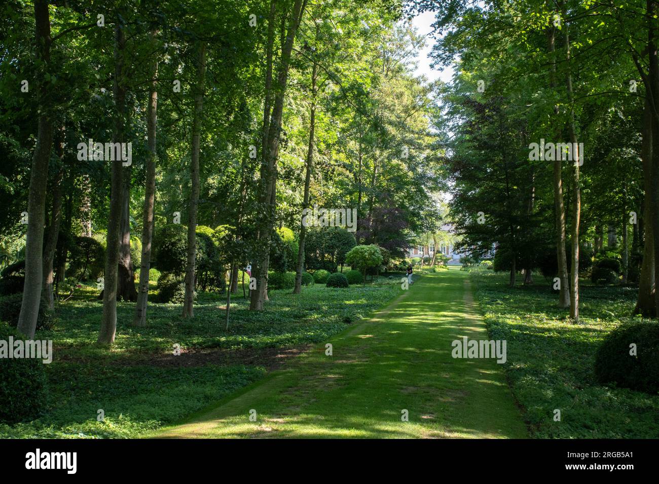 Jardins de Maizicourt, Grand Allee Stock Photo