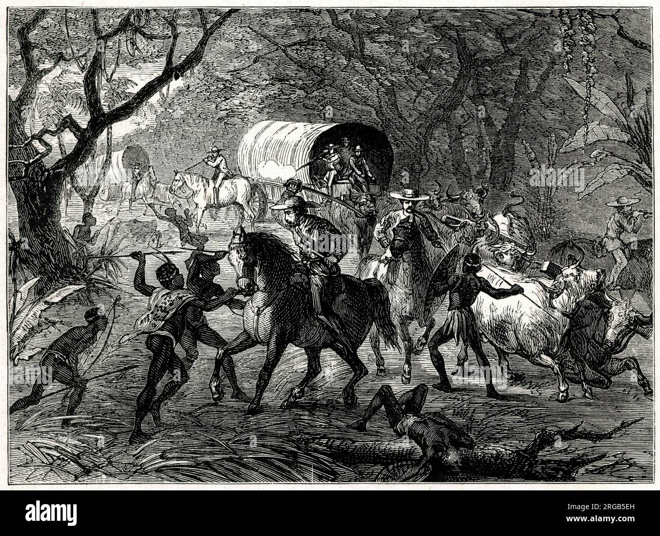 Kaffir Attack on an English Convoy, Kaffir Wars (there were nine wars or conflicts between 1779 and 1879). Stock Photo