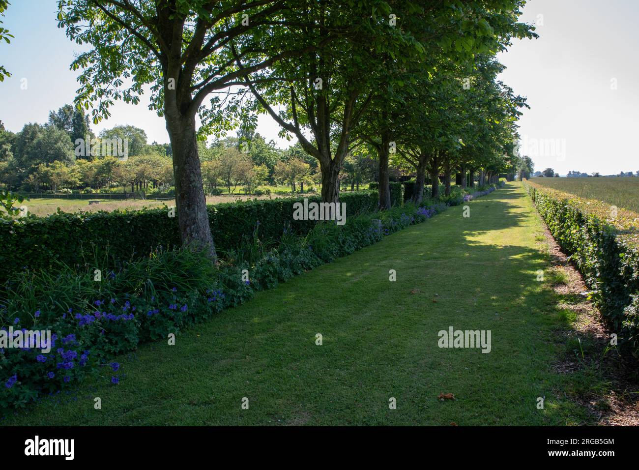 Jardins de Maizicourt, Tour de haies Stock Photo