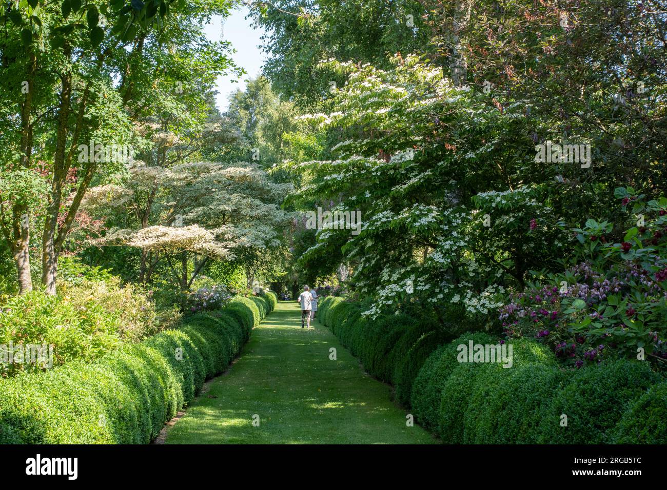 Jardins de Maizicourt, Allee des buis Stock Photo