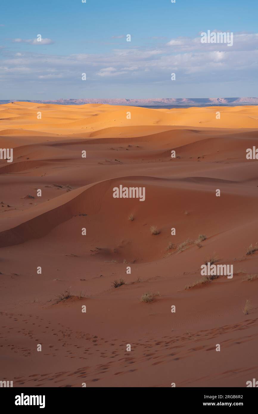 Sahara Morocco: Majestic desert expanse, offering golden dunes, captivating landscapes, and an enchanting experience under the starlit desert skies Stock Photo
