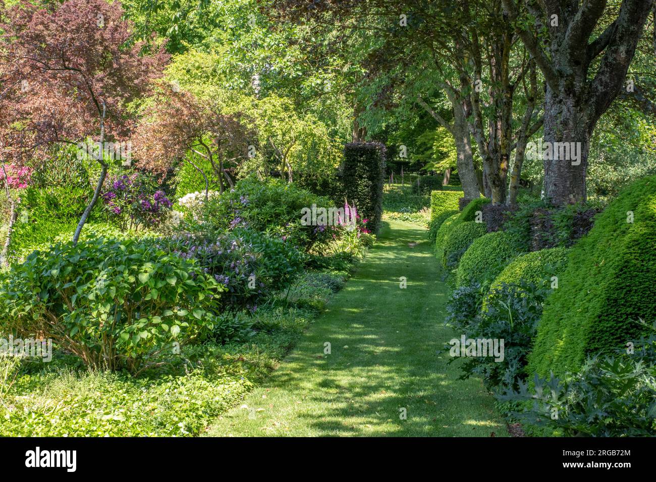 Rhododendron allee hi-res stock photography and images - Alamy