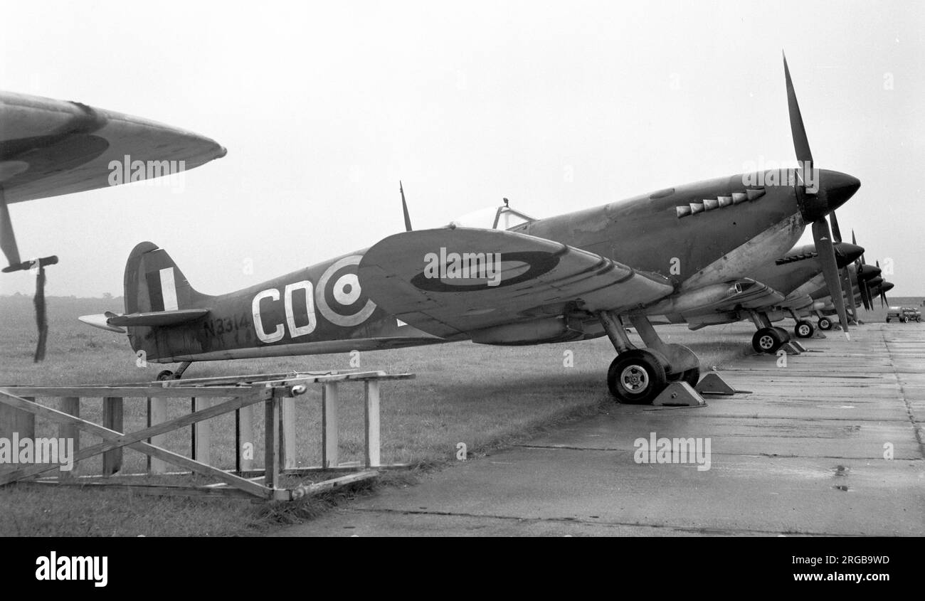 Supermarine Spitfire LF Mk.IXb MH415, marked as 'N3314' 'CD-F', on the flight line for filming of 'The Battle of Britain', at Duxford airfield in July 1968,( with spurious ID as N3314 was a Boulton Paul Defiant). Stock Photo