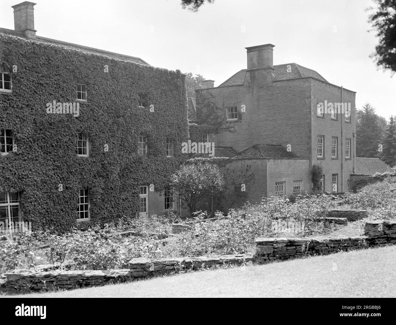 Ivy growing up house Black and White Stock Photos & Images - Alamy