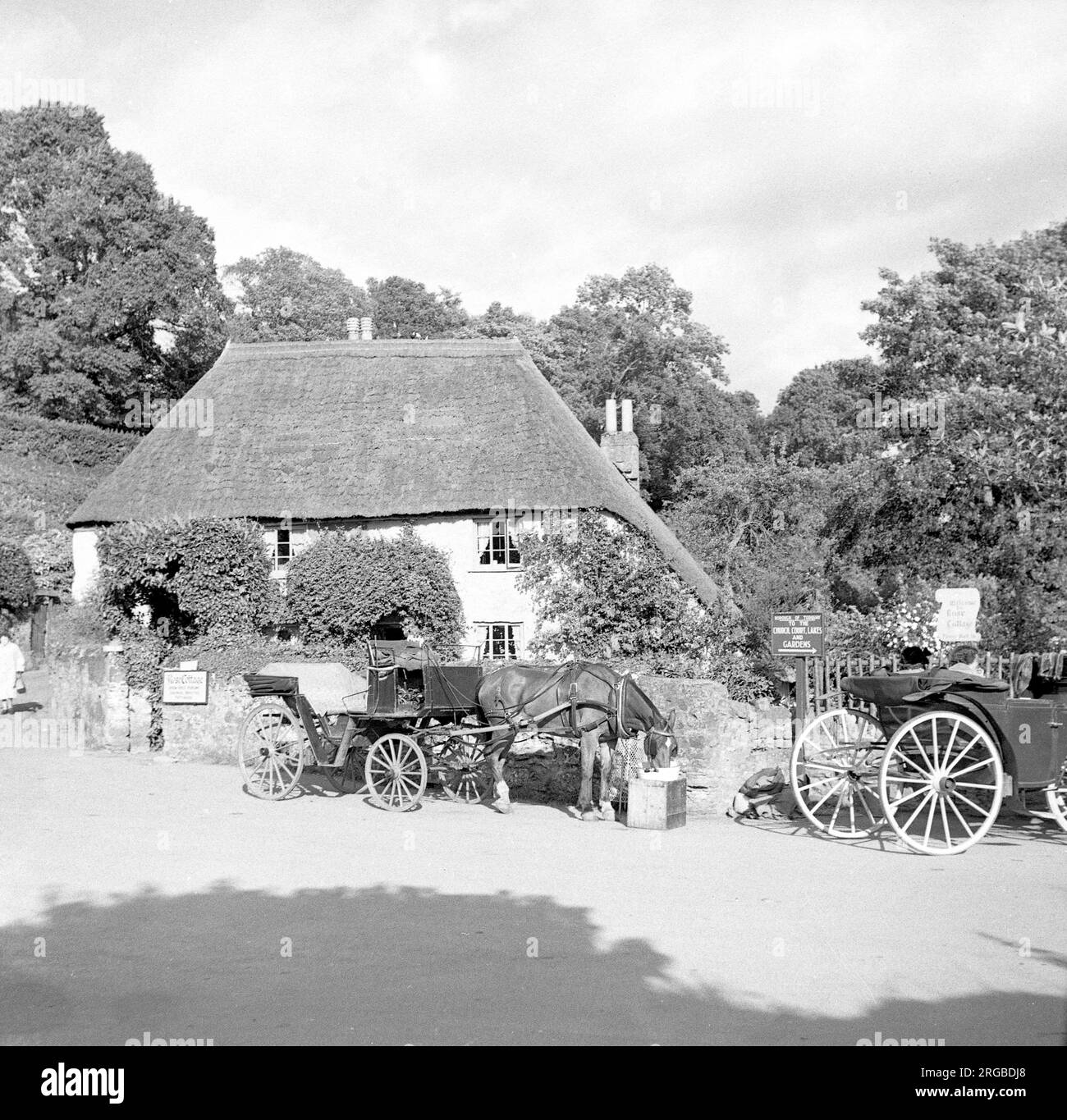 Rose Cottage, Torquay, with pony and trap parked outside Stock Photo
