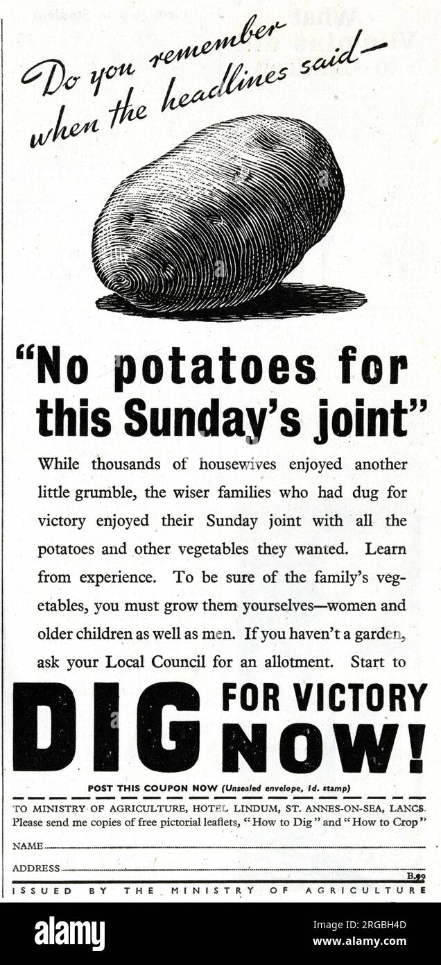 Advert, Dig for Victory Now!  Ministry of Agriculture, WW2 Stock Photo