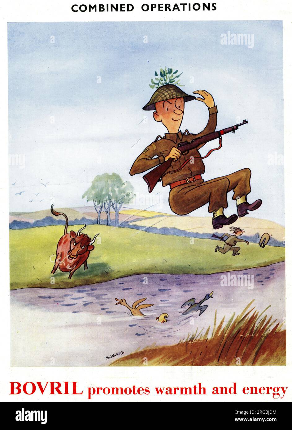 Advert for Bovril, Home Guard and bull, Combined Operations, WW2 Stock Photo