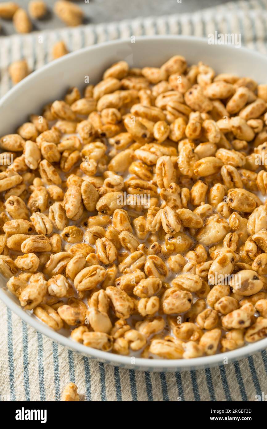 Healthy Sweet Puffed Wheat Breakfast Cereal and Whole Milk Stock Photo