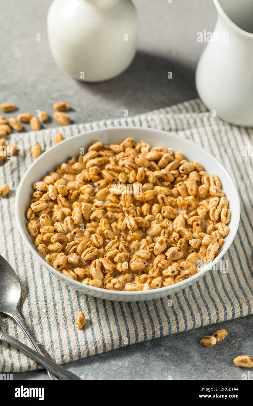 Healthy Sweet Puffed Wheat Breakfast Cereal and Whole Milk Stock Photo