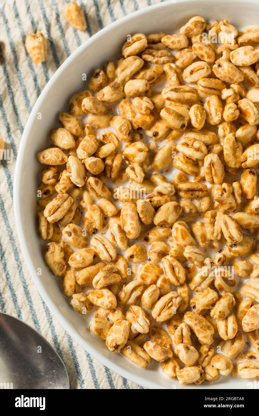 Healthy Sweet Puffed Wheat Breakfast Cereal and Whole Milk Stock Photo