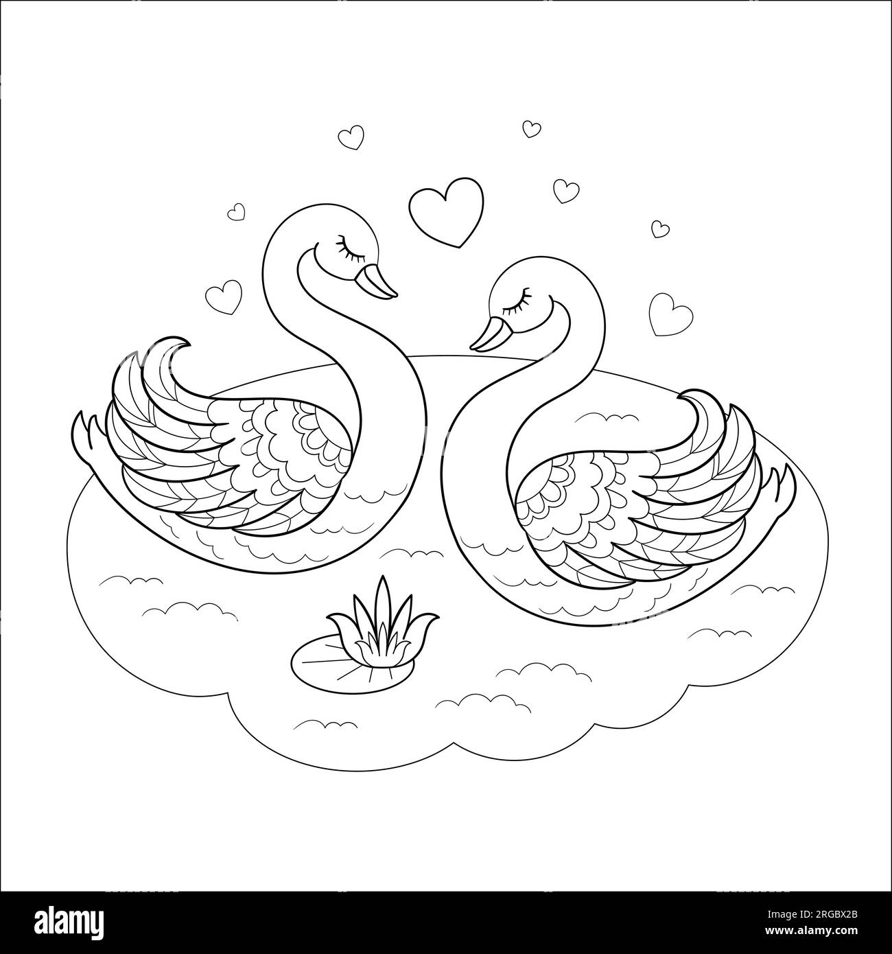 A pair of beautiful swans. Black and white vector illustration Stock ...