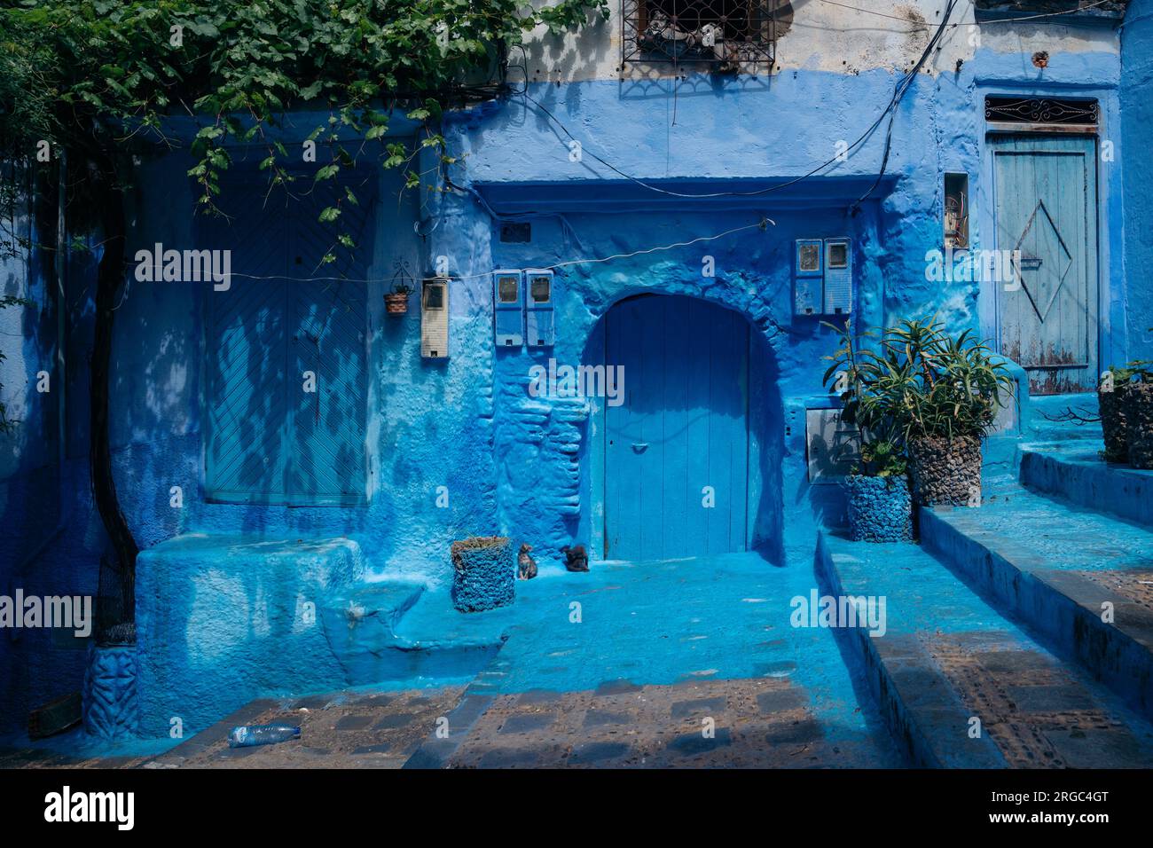 Chefchaouen, Morocco: The 'Blue City' nestled in the Rif Mountains, famous for its charming blue-painted streets, serene ambiance, and cultural allure Stock Photo