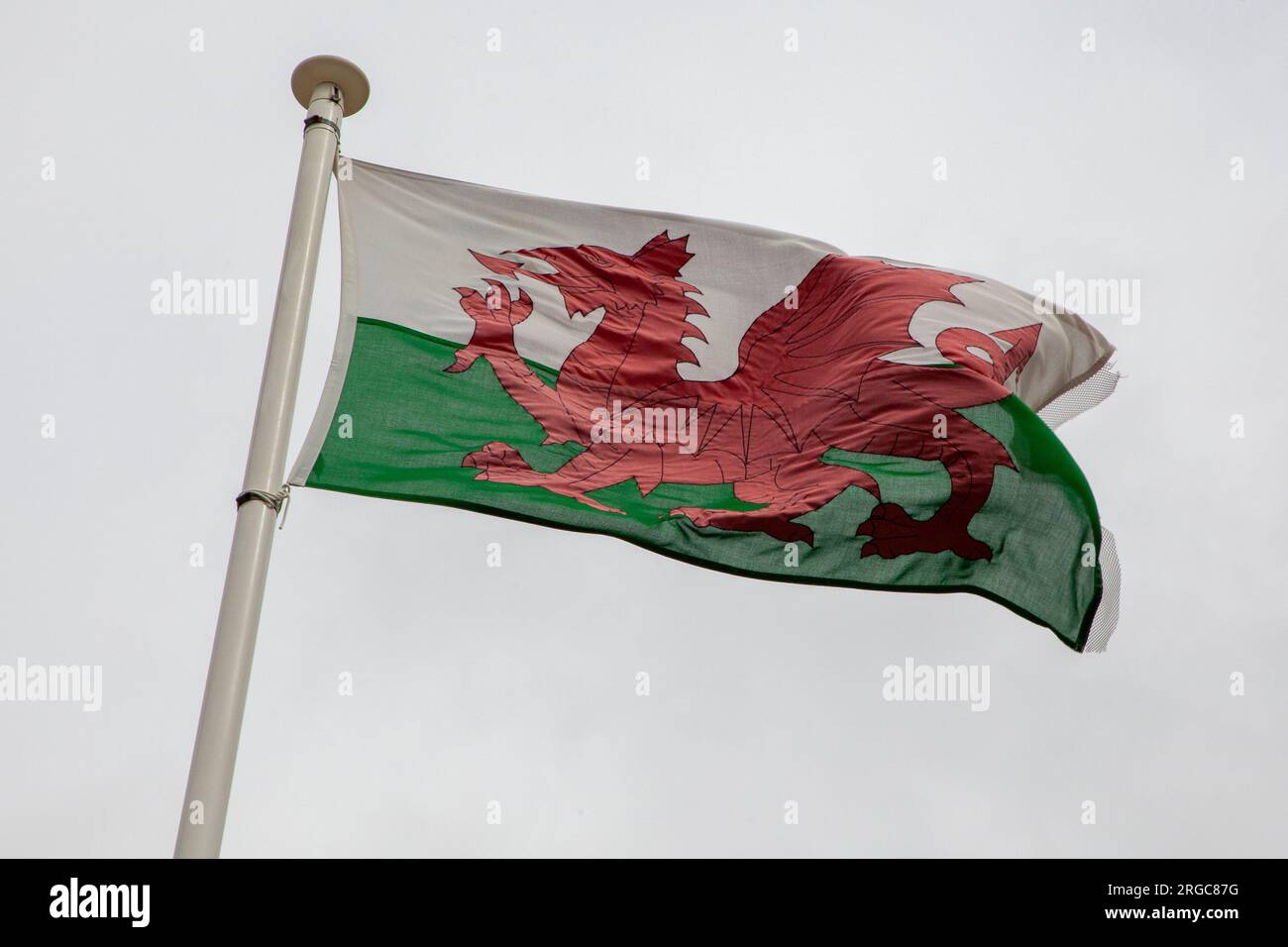 Flag of Wales, also known as Y Ddraig Goch in Clevedon, England Stock Photo