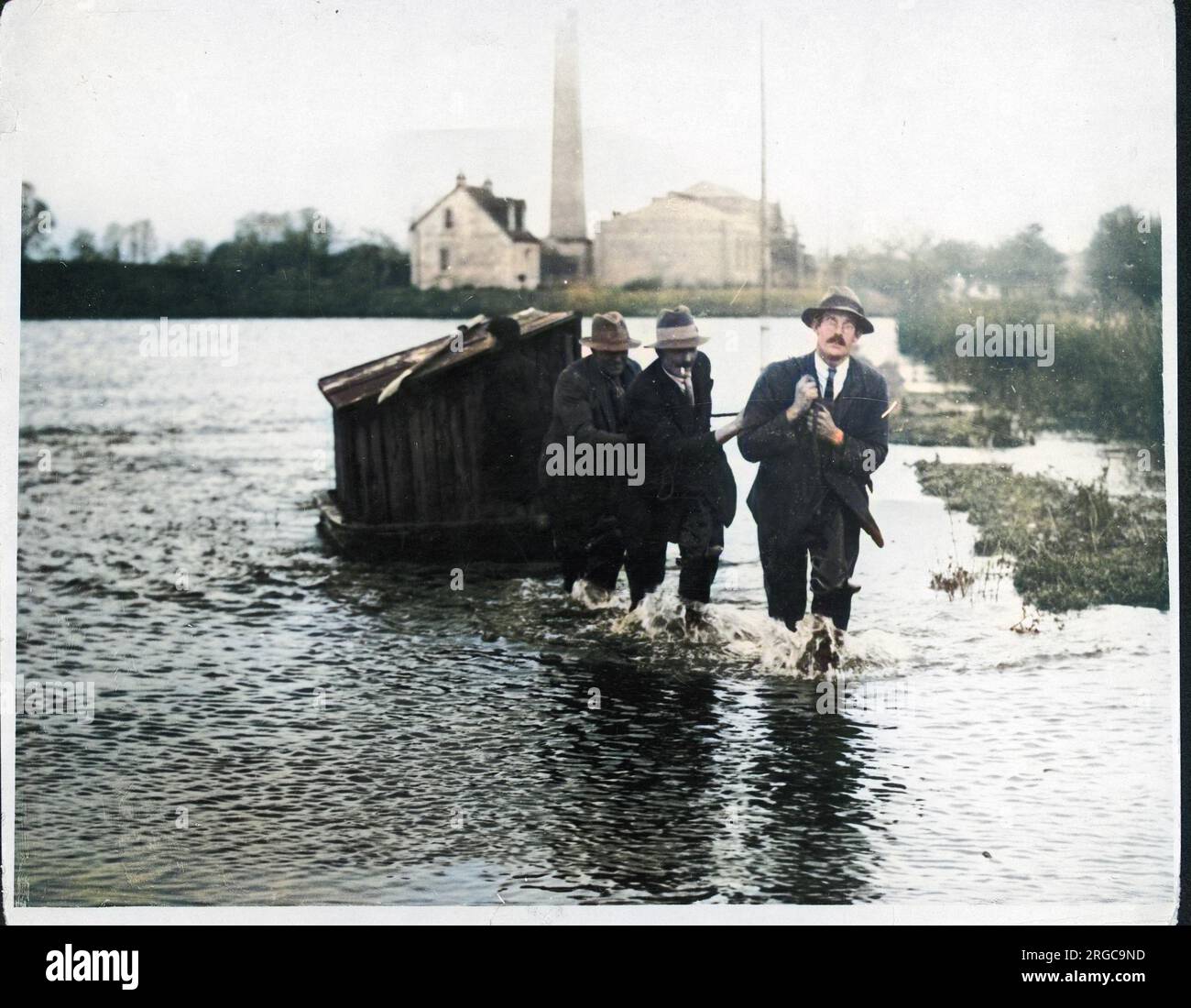 Three men wading through the River Thames, towing a boat loaded with a crate containing a large sow, part of the animal farm belonging to Mrs. Brown of Shepperton, England. Stock Photo