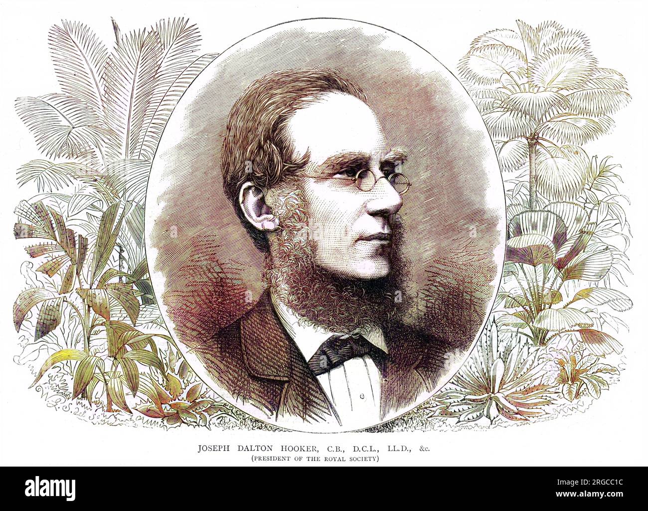 SIR JOSEPH DALTON HOOKER Botanist and traveller, President of the Royal Society. Stock Photo