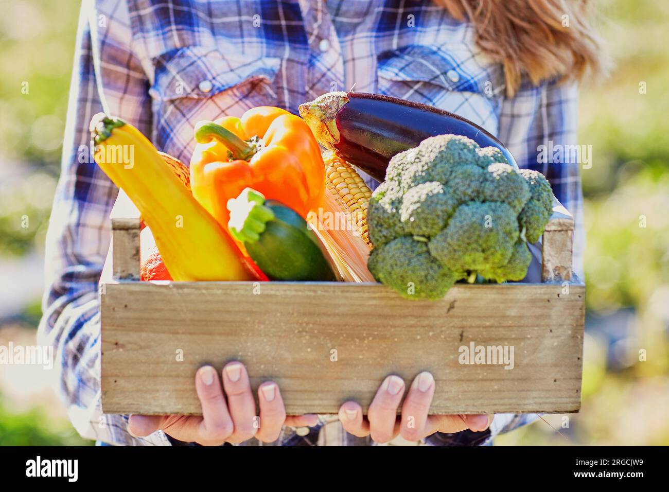 Woman holding wooden crate with fresh organic vegetables from farm ...
