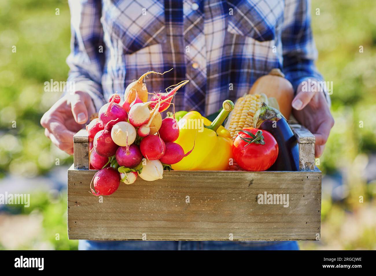 Woman holding wooden crate with fresh organic vegetables from farm ...