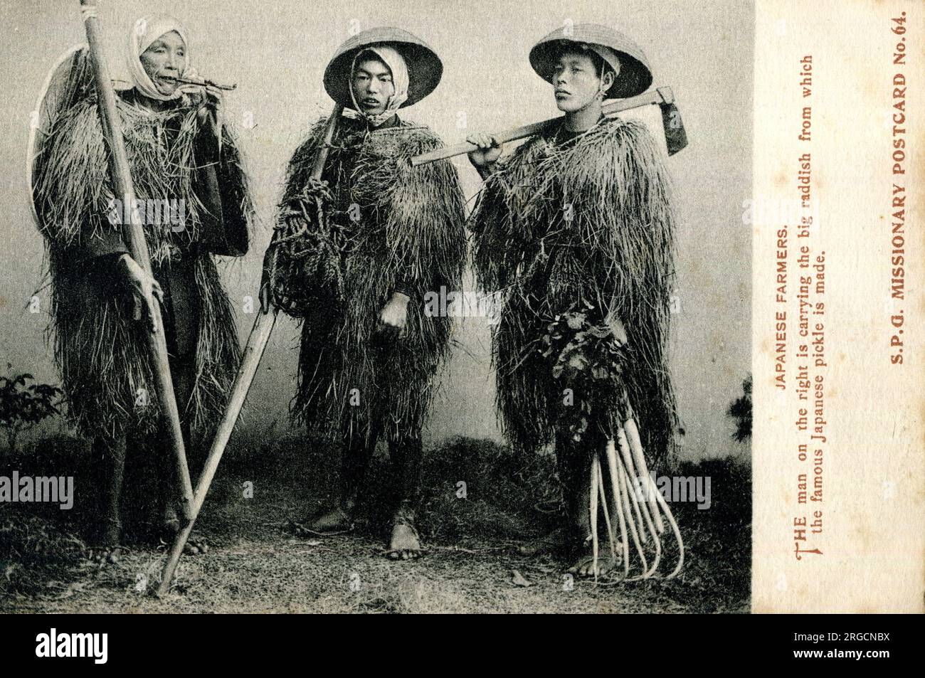 Three Japanese farmers - the man on the right is holding the large radish from which the famous Japanese pickle is made - Society for the Propagation of the Gospel in Foreign Parts Stock Photo