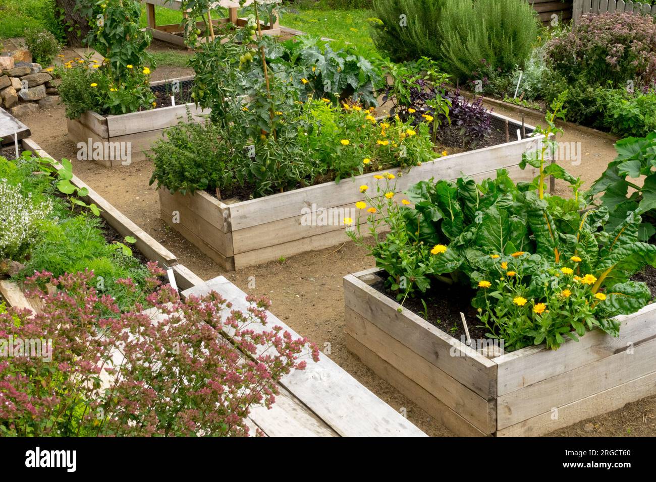 Produce, vegetables, Raised garden, beds, herbs, Summer, Plants