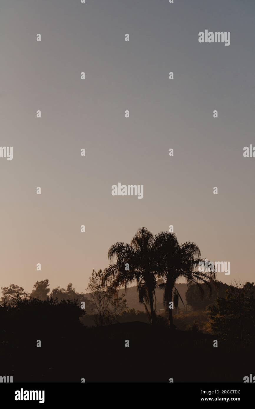 Nature peaceful silhouette trees hi-res stock photography and images ...