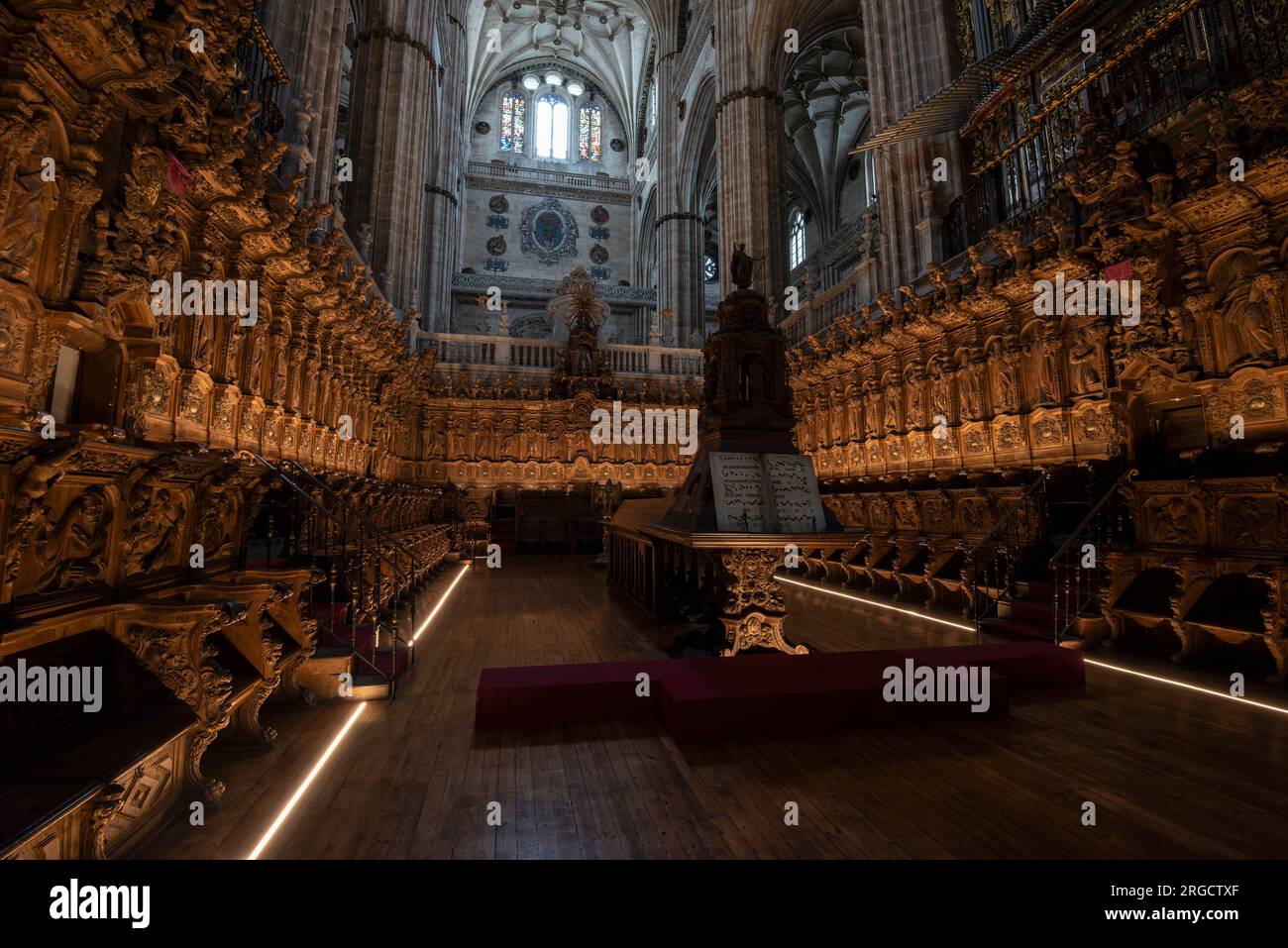 Silleria del coro de la Catedral nueva de Salamanca Stock Photo