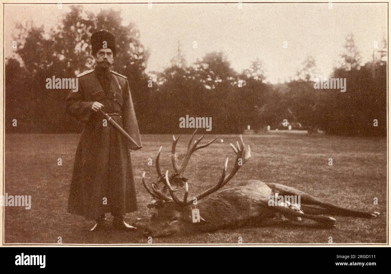 Russia - Tsar Nicholas II, in the uniform of his Cossack escort, next to the deer he has just killed - at the Bialowieza National Park on the border of Belarus and Poland. Stock Photo