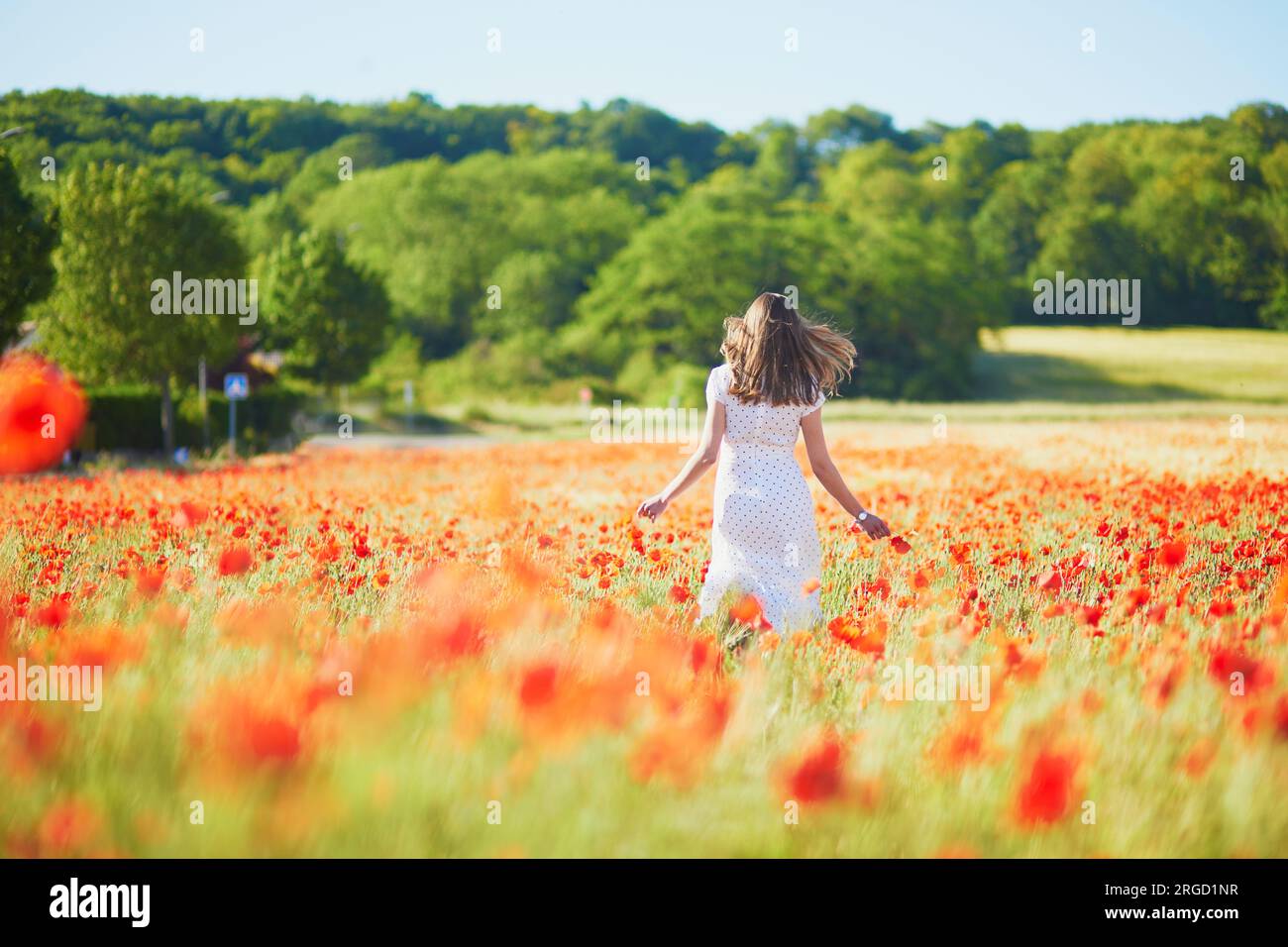 Beautiful young woman in white dress walking in poppy field on a summer ...