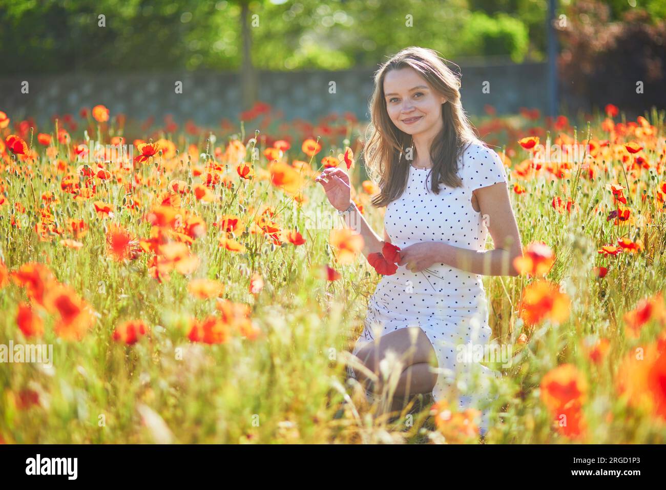 Beautiful young woman in white dress walking in poppy field on a summer ...