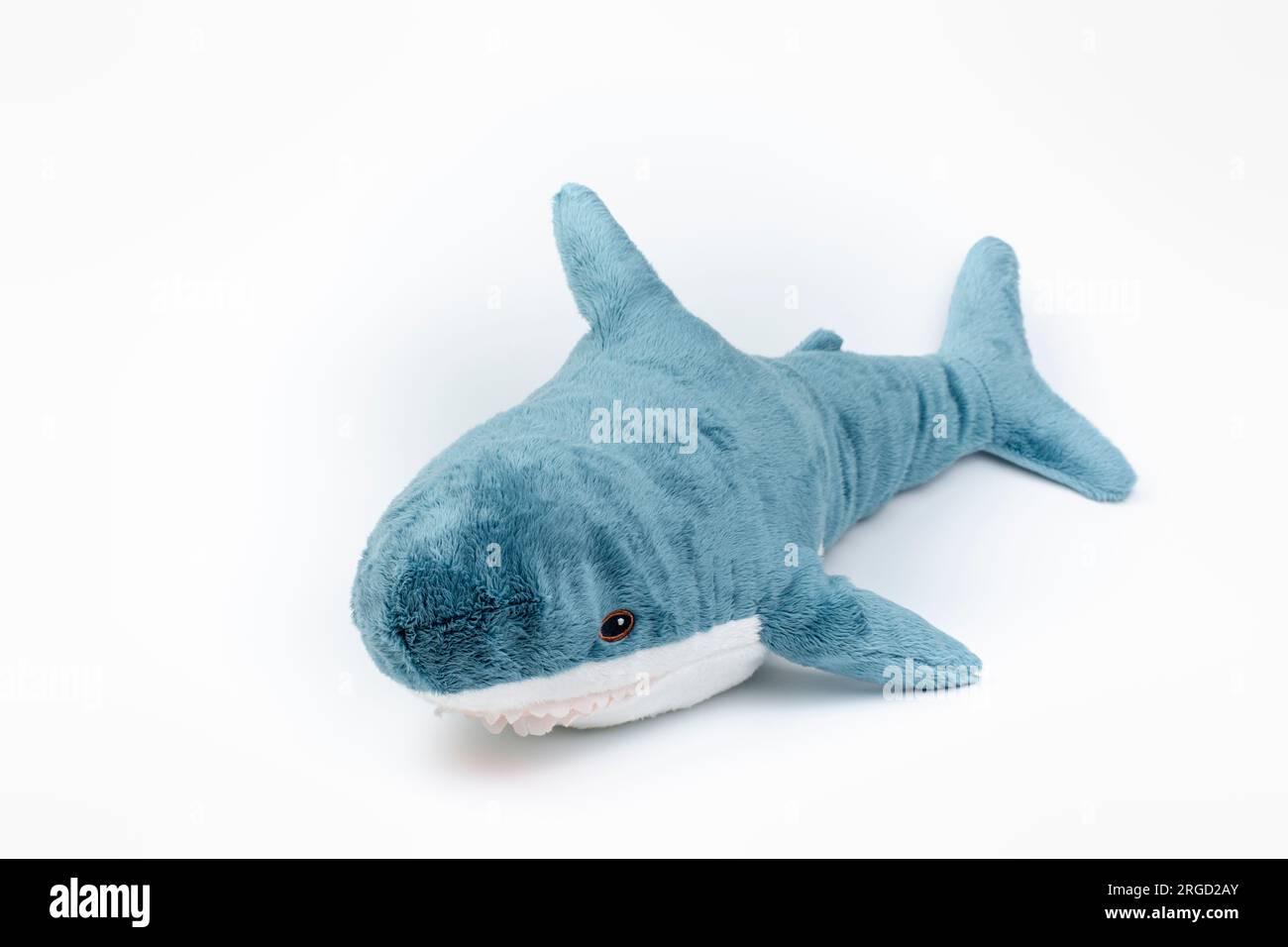 Nova Bana, Slovakia - August, 7, 2023 : Blahaj, Ikea plush toy made of recycled polyester. Stuffed Animal Toy Blue shark on white background. Stock Photo