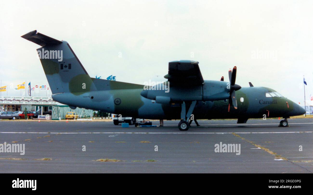Canadian Armed Forces - de Havilland Canada CC-142 142801 (msn 38, DHC-8-102), of 412 Squadron Stock Photo