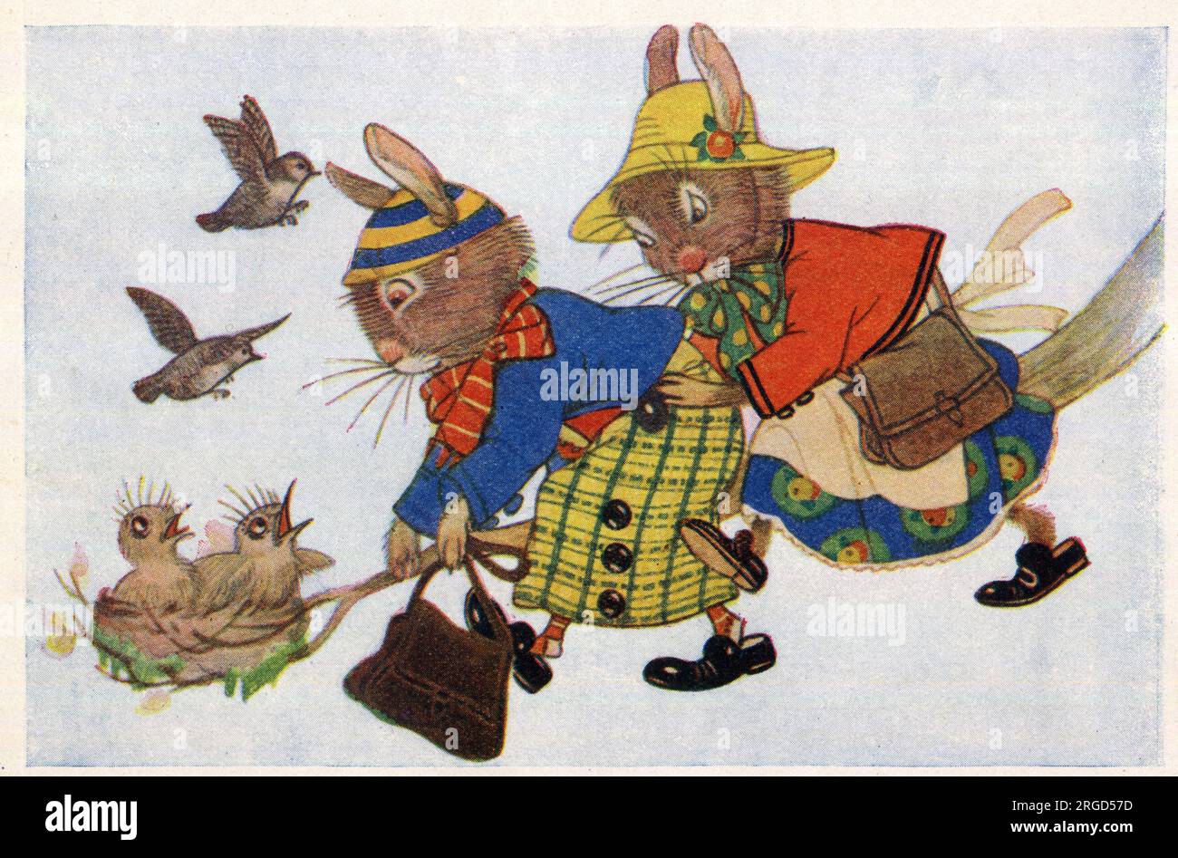 The Bunnies climb the tree to see the wrens' nest Stock Photo Alamy