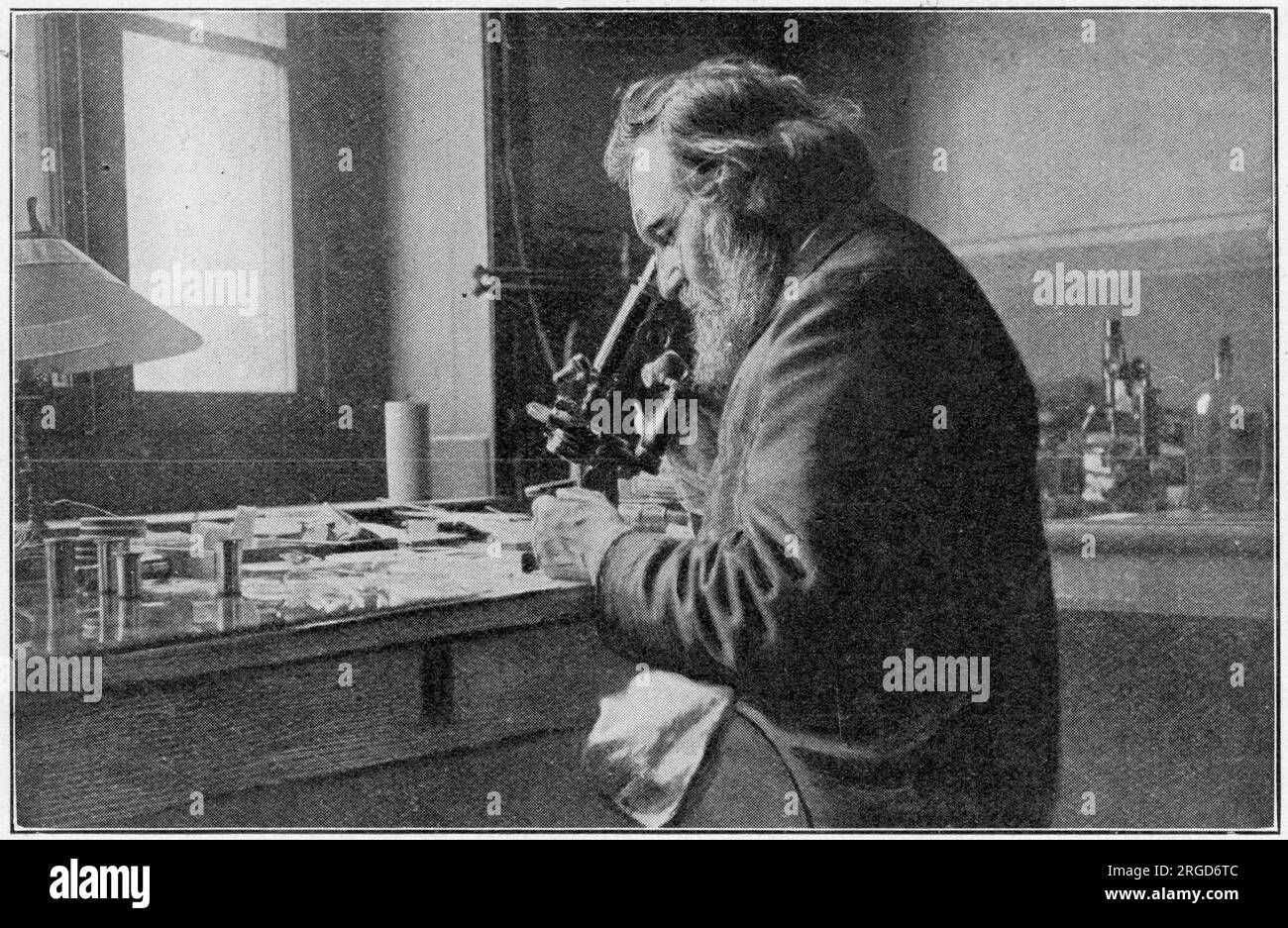 Ilya Ilyich Mechnikov (1845 1916), Russian zoologist of Romanian