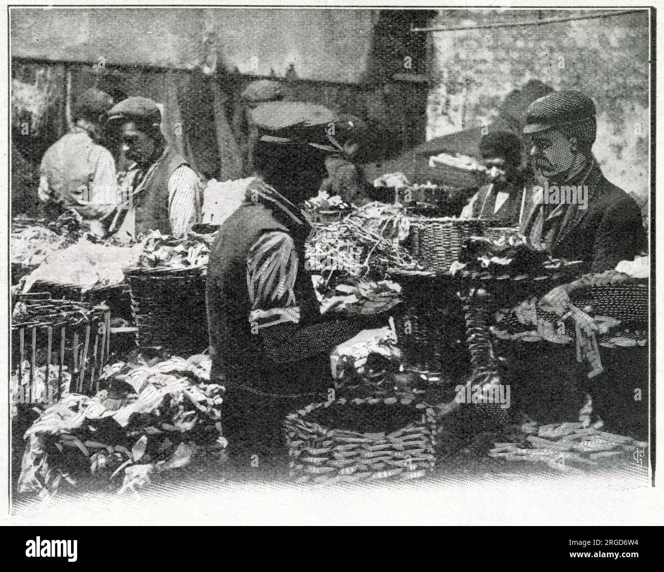 The Salvation Army's social scheme to help homeless and destitute men with employment so they could get shelter and food. Photograph showing Edwardian men sorting through baskets of unwanted paper to be recycled so they could raise charitable funds for the Salvation Army. Stock Photo