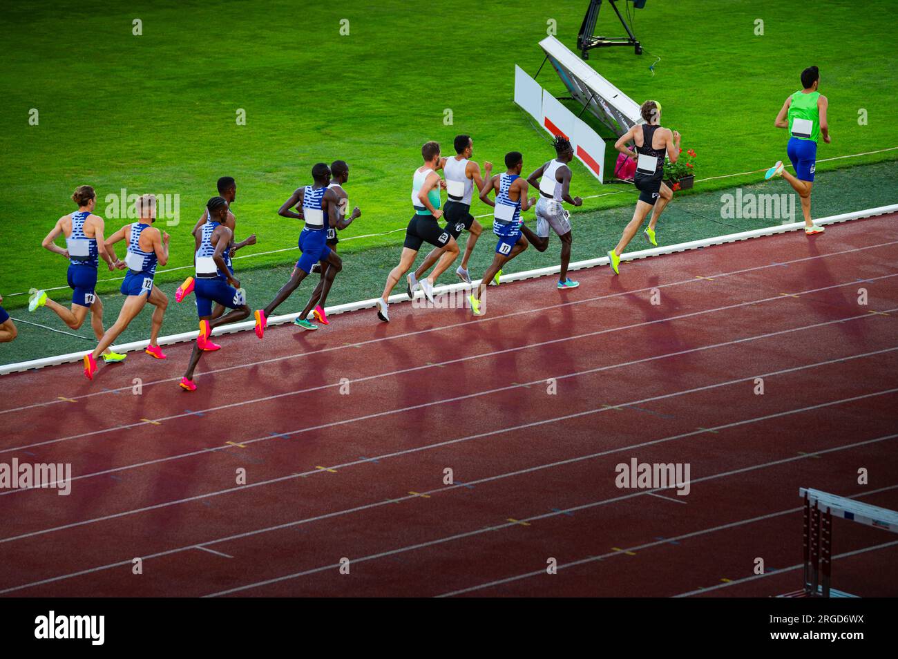 Male Athletes Competing in Middle Distance Race on Outdoor Track and