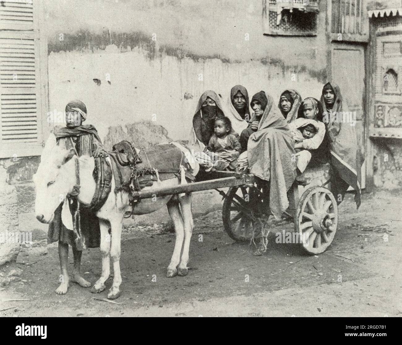 Family Conveyance in Cairo, Egypt Stock Photo