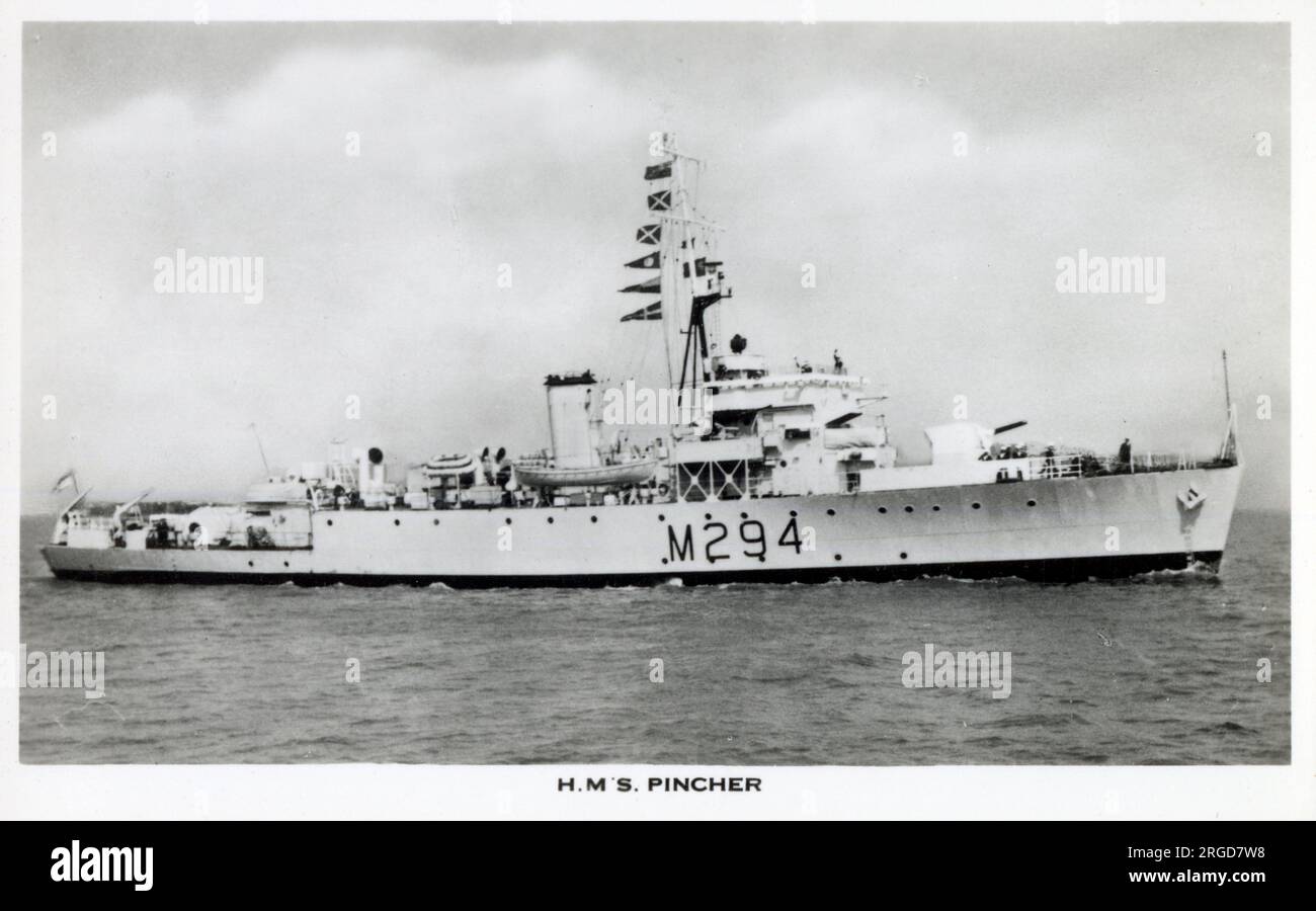 H.M.S. Pincher (J294 - later M294) - Algerine-Class Fleet Minesweeper fitted with Turbine propulsion machinery - commissioned in 1943, built by Harland and Wolff, Belfast. Stock Photo