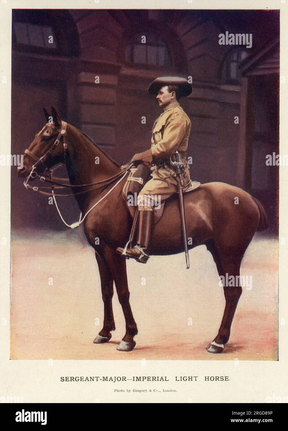 Sergeant-Major, Imperial Light Horse Stock Photo