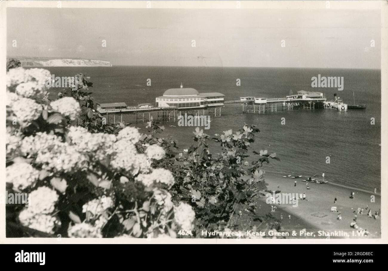 Hydrangeas, Keats Garden and Pier, Shanklin, Isle of Wight Stock Photo Alamy