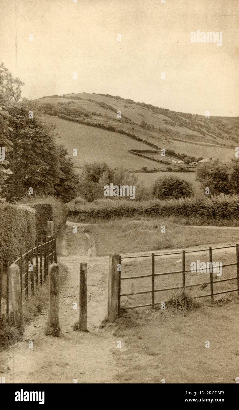 Shanklin Downs from Luccombe Common, Isle of Wight Stock Photo