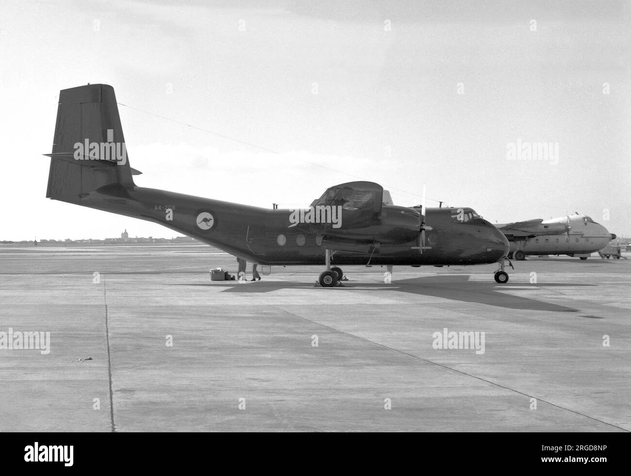 Royal Australian Air Force de Havilland Canada DHC4 Caribou A4208