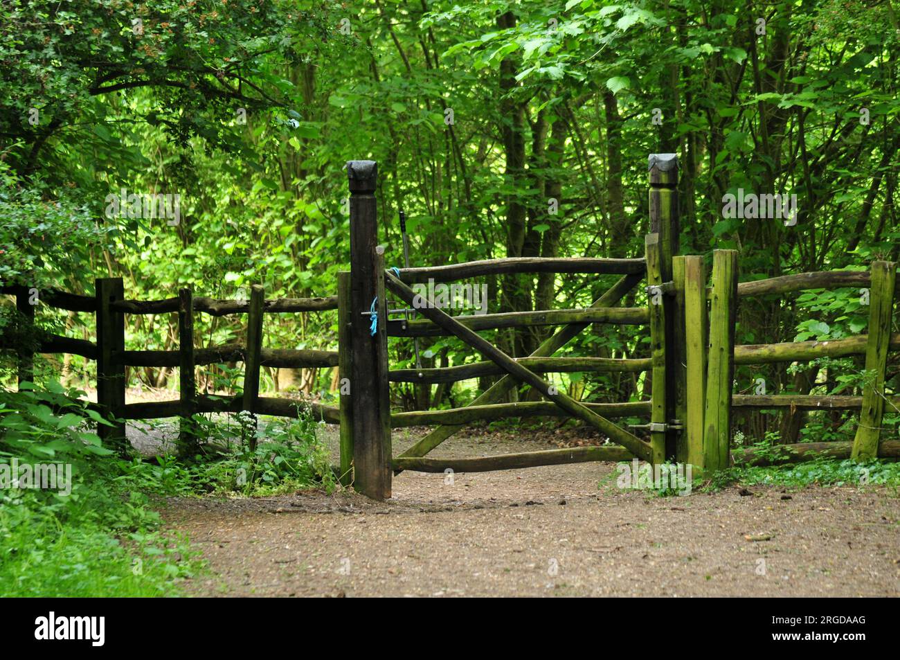 Woodland gate and fence hi-res stock photography and images - Alamy