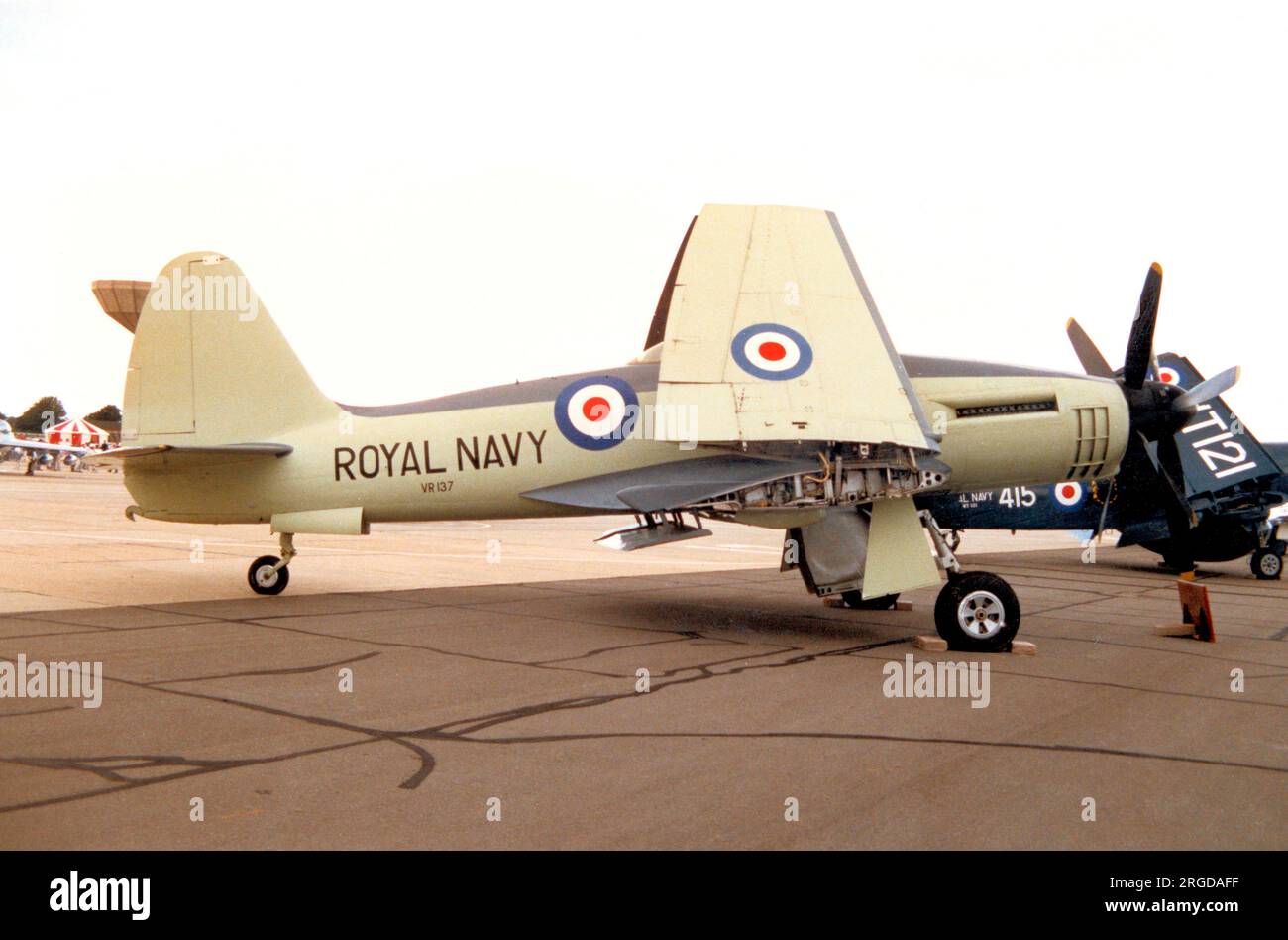 Westland W.34 Wyvern TF.1 VR137, the seventh pre-production aircraft which was allocated to ground-based trials and never flew. Seen on display at RNAS Yeovilton, where it resides in the Fleet Air Arm Museum. Stock Photo