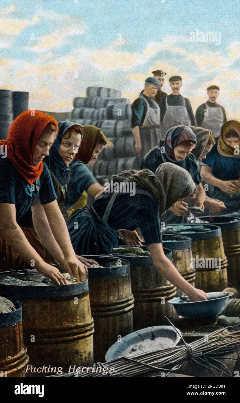 Fishwives packing herring North East England Stock Photo Alamy