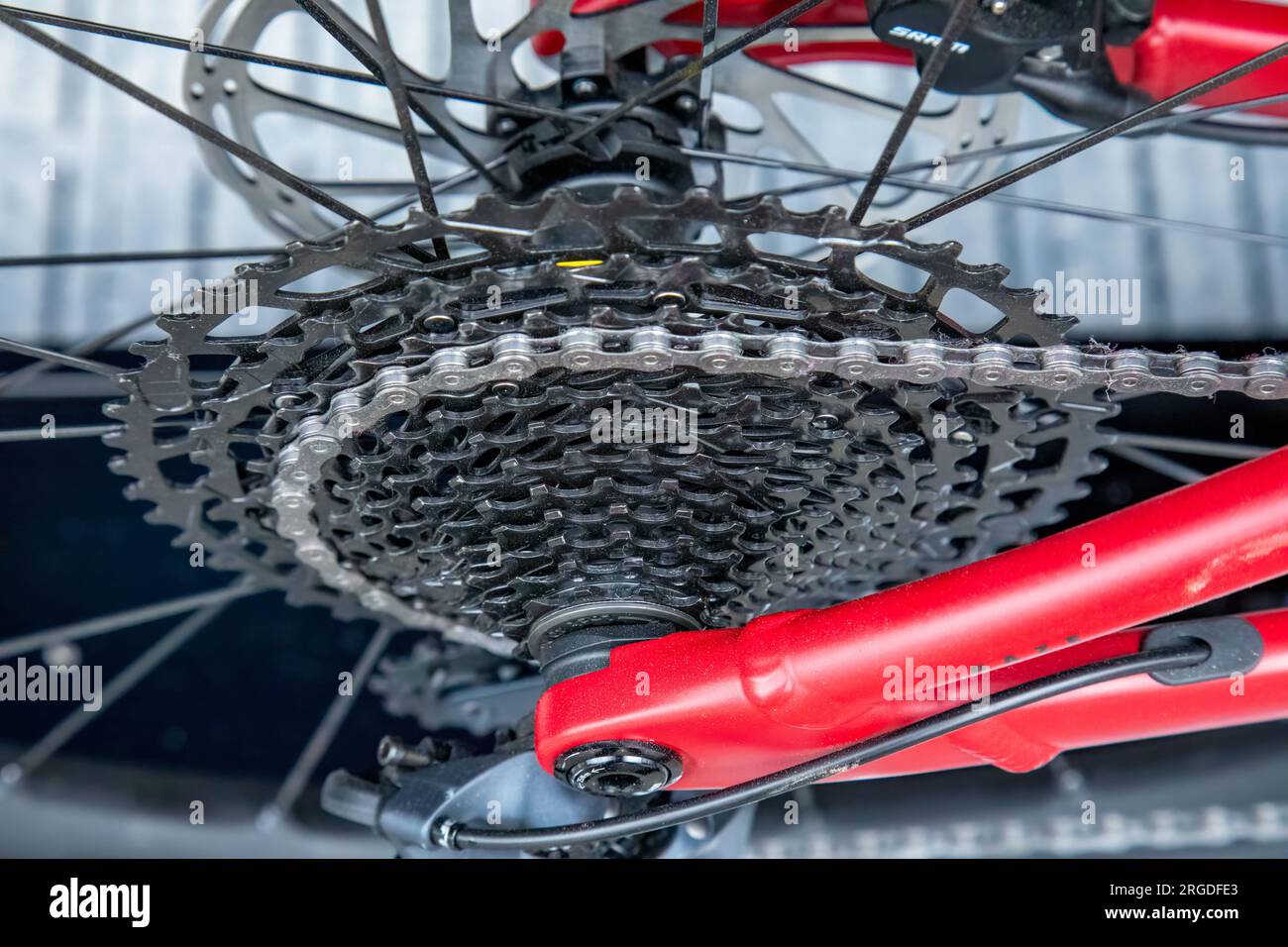 Rear gear cogs and chain on the wheel of a red mountain bike Stock
