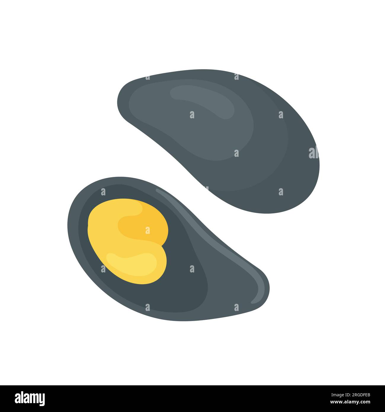 Fresh mussels seafood. Healthy seafood menu, underwater fauna vector