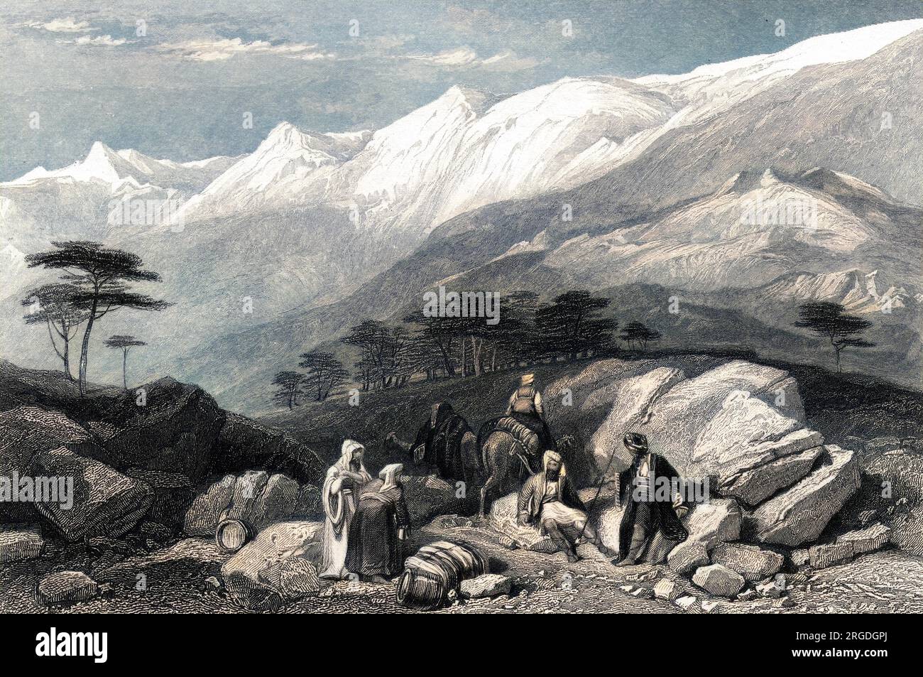 The cedar trees for which Lebanon was renowned in biblical times Stock