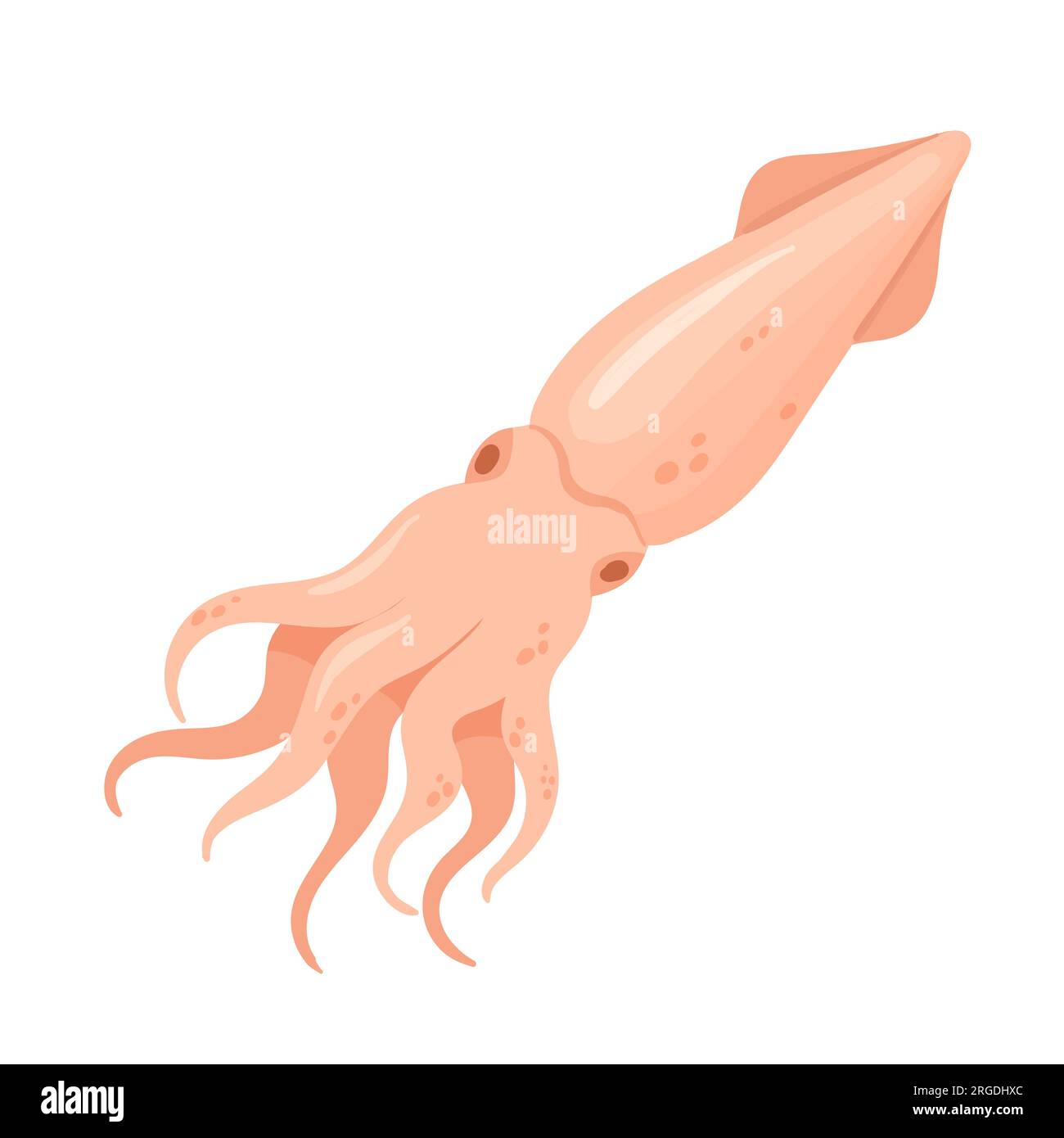 Pink squid illustration hi-res stock photography and images - Page 2 - Alamy