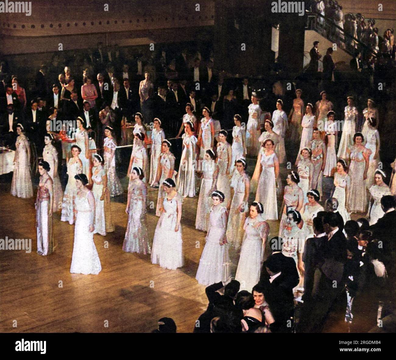 Gleaming in serried ranks: debutantes parading on the ballroom floor during Queen Charlotte's Ball before the traditional cutting of the cake, carried out in that Coronation year by the Duchess of Kent. Stock Photo
