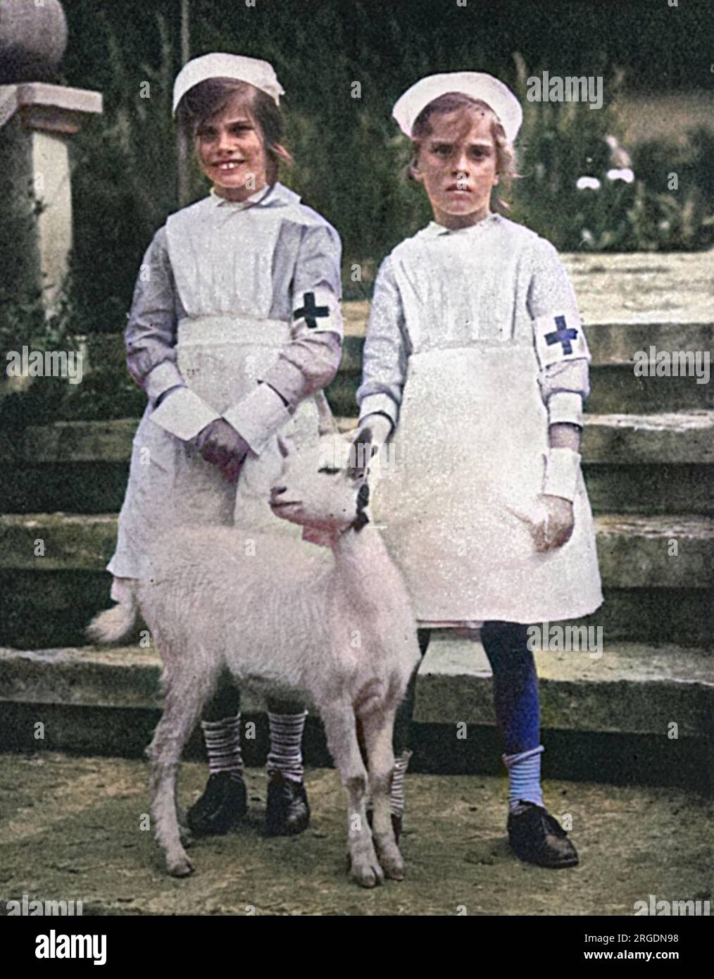 The daughters of General and Lady Haig - Alexandra and Victoria dressed in miniature Red Cross outfits during the First World War and posed with a kid goat. Stock Photo